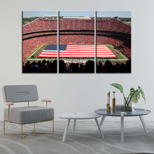 Load image into Gallery viewer, Kansas City Chiefs Stadium Wall Canvas 4