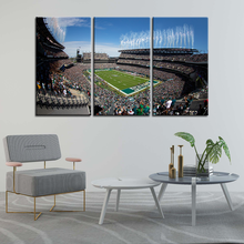 Load image into Gallery viewer, Philadelphia Eagles Stadium Wall Canvas 2