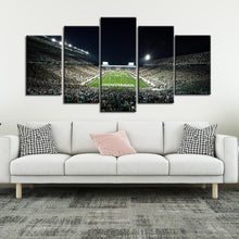 Load image into Gallery viewer, Michigan State Spartans Football Stadium Canvas 2