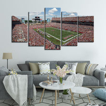 Load image into Gallery viewer, Tampa Bay Buccaneers Stadium Wall Canvas 8