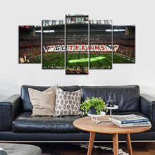Load image into Gallery viewer, Houston Texans Stadium Canvas 2
