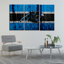 Load image into Gallery viewer, Carolina Panthers Rough Look Wall Canvas 2