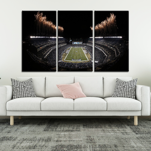 Philadelphia Eagles Stadium Wall Canvas 6