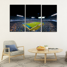 Load image into Gallery viewer, Carolina Panthers Stadium Wall Canvas 2