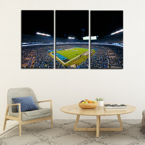 Carolina Panthers Stadium Wall Canvas 2