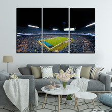 Load image into Gallery viewer, Carolina Panthers Stadium Wall Canvas 2